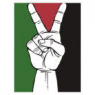 Mudi